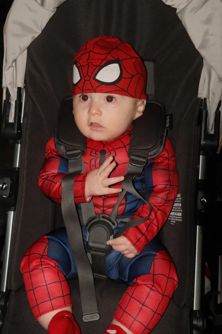 Calix dressed as Spider-Man in his stroller